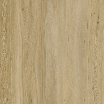 Collection image for: SPC Plank