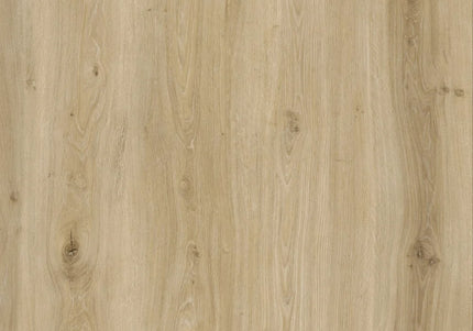 Morning Frost Oak Premium Click SPC Flooring