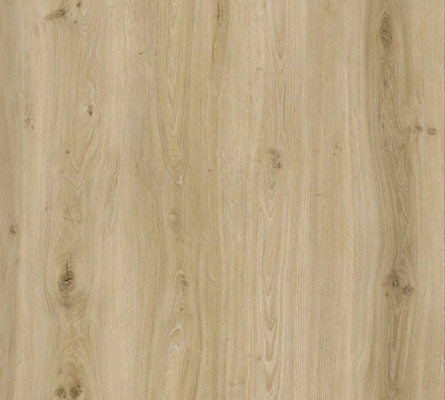 Morning Frost Oak Premium Click SPC Flooring