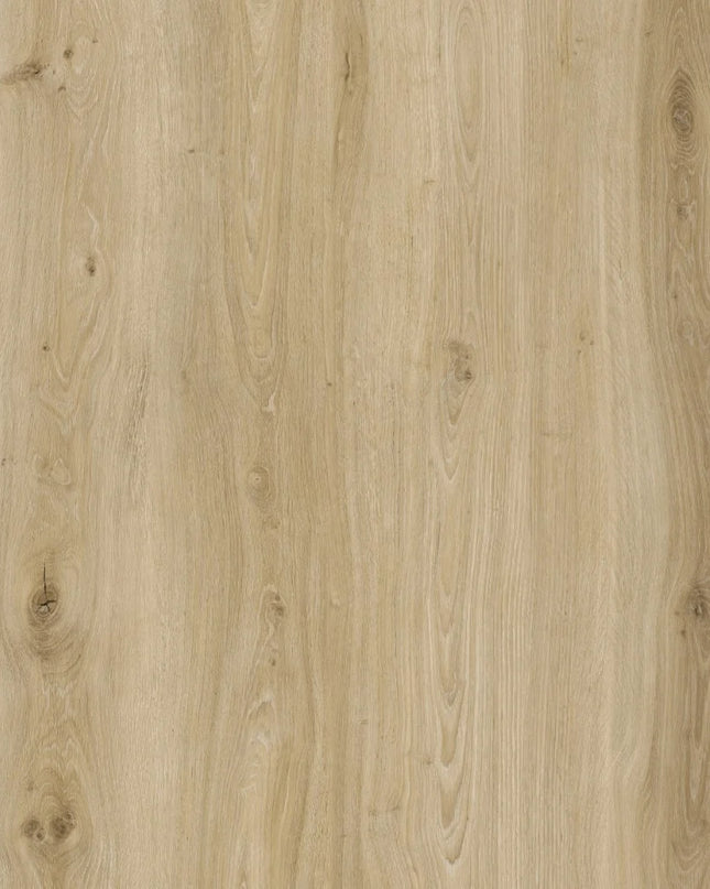 Morning Frost Oak Premium Click SPC Flooring