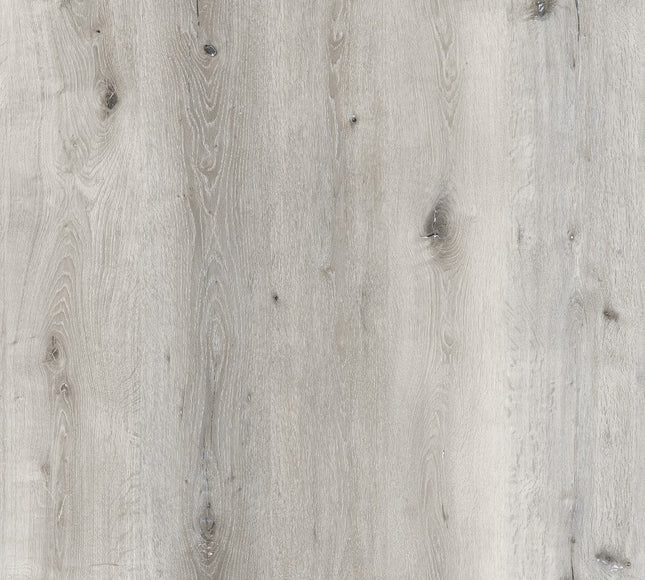 Arctic White Modern SPC Click Flooring
