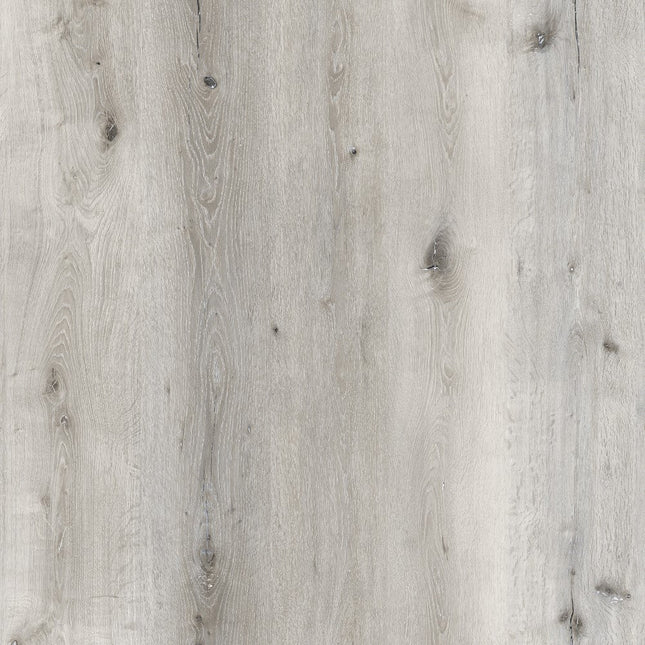 Arctic White Modern SPC Click Flooring