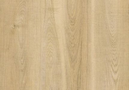 Snowy Hickory Waterproof SPC Click Flooring