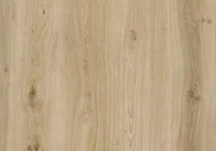 Morning Frost Oak Designer LVT Flooring
