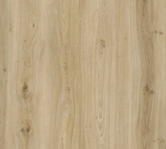 Morning Frost Oak Designer LVT Flooring