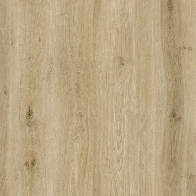 Morning Frost Oak Designer LVT Flooring