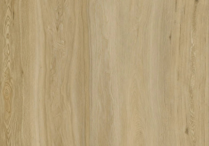 Highland Natural Oak Glue-Down Luxury Vinyl Flooring