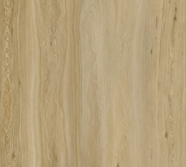Highland Natural Oak Glue-Down Luxury Vinyl Flooring