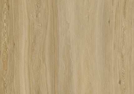 Classic Oak LVT Dry Back  2mm Glue Down | Pukka Flooring