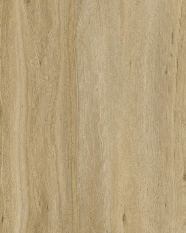 Classic Oak LVT Dry Back  2mm Glue Down | Pukka Flooring
