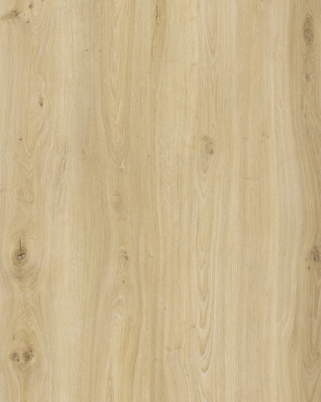 Light Ivory Oak SPC Click LVT Flooring - Pukka Flooring