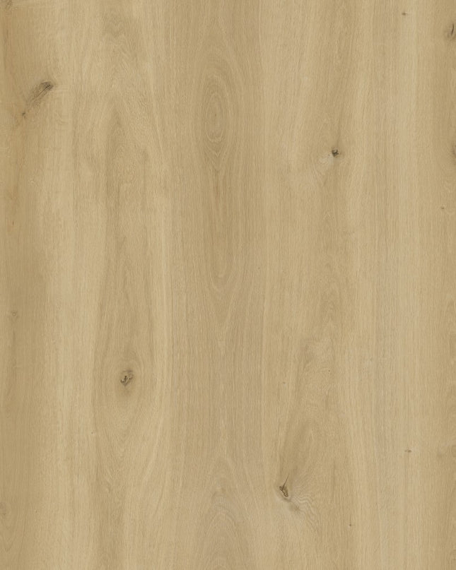 Urban Natural Dryback LVT Flooring | Pukka Flooring