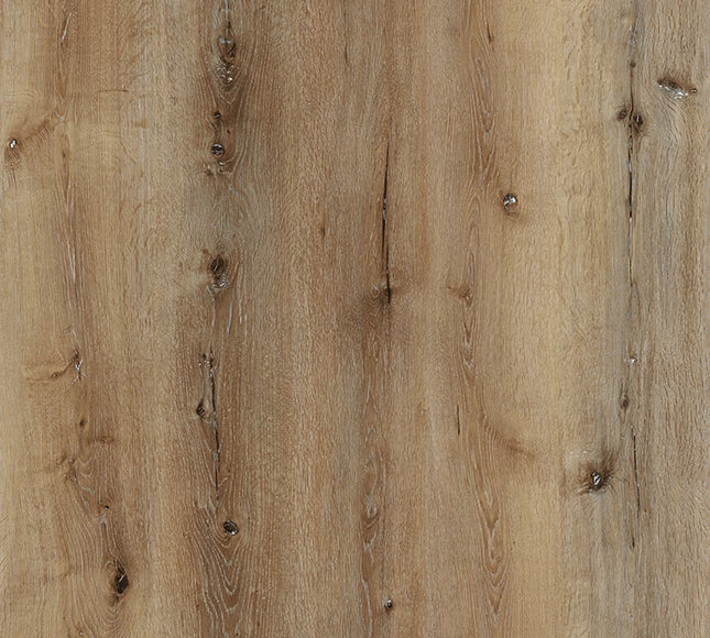 Tawny Oak Dryback LVT Flooring | Pukka Flooring