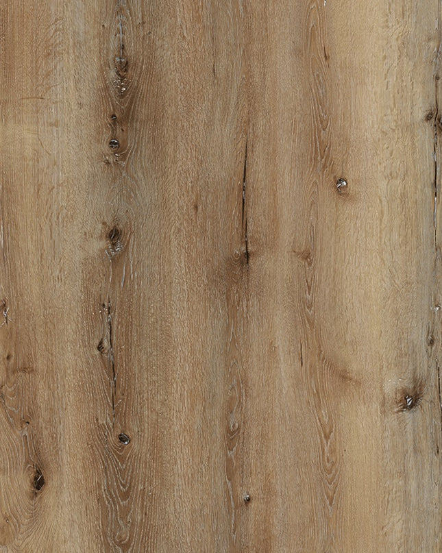 Tawny Oak Dryback LVT Flooring | Pukka Flooring