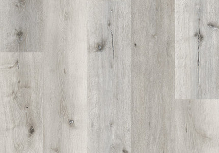 Arctic White  Dryback  LVT Flooring | Pukka Flooring 