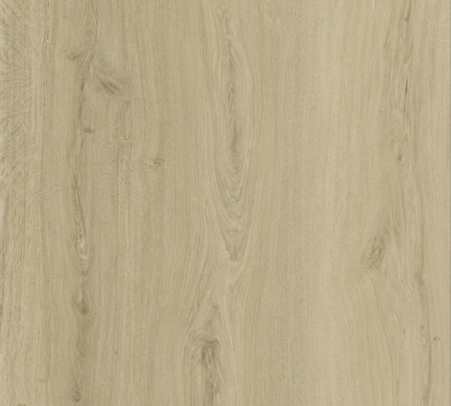 Nebula White Dryback LVT Flooring | Pukka Flooring 
