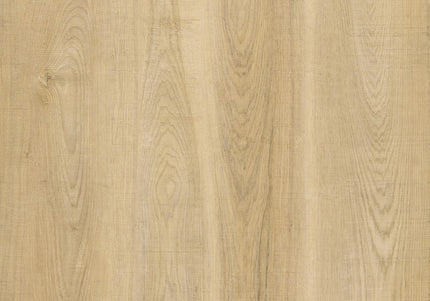 Snowy Hickory Dryback LVT Flooring | Pukka Flooring