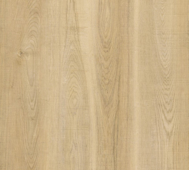 Snowy Hickory Dryback LVT Flooring | Pukka Flooring