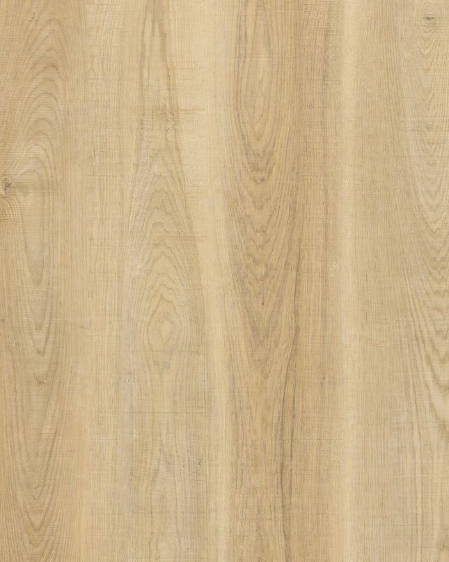 Snowy Hickory Dryback LVT Flooring | Pukka Flooring