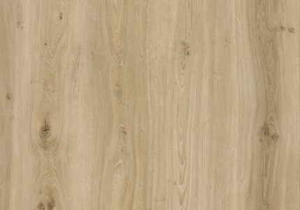 Morning Frost Oak Dryback LVT Flooring | Pukka Flooring