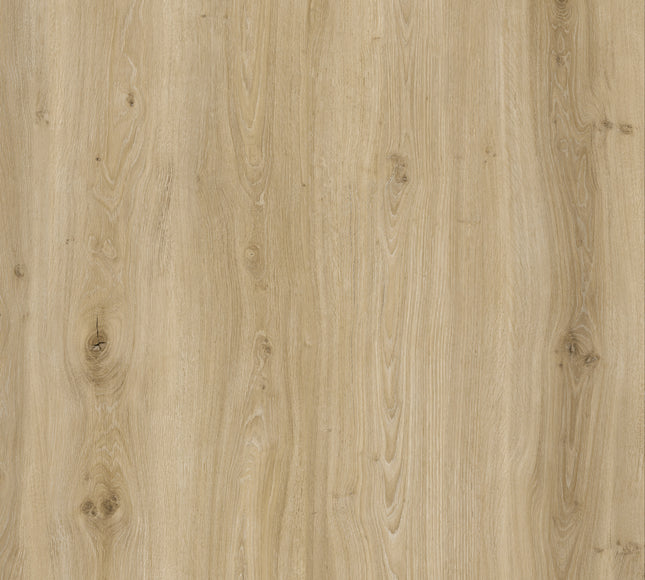 Morning Frost Oak Dryback LVT Flooring | Pukka Flooring