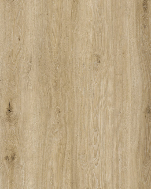 Morning Frost Oak Dryback LVT Flooring | Pukka Flooring