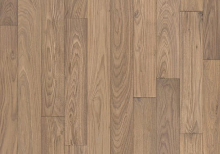 AB Grade Walnut