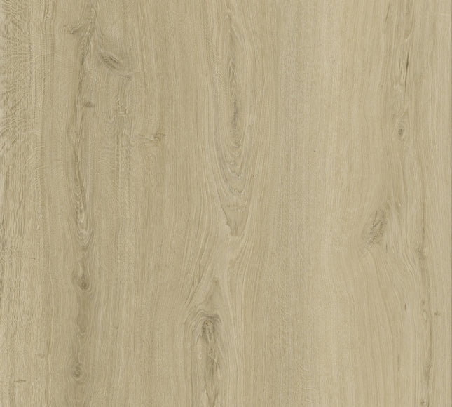 SPC Herringbone – Nordic White – Minimal White with Embossed Texture for Scandinavian Look| Pukka Flooring