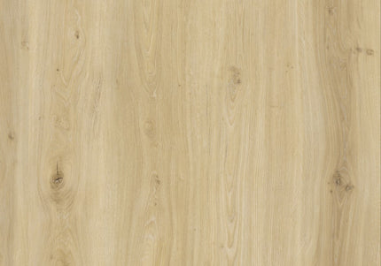 Light Ivory Oak SPC Click LVT Flooring - Pukka Flooring