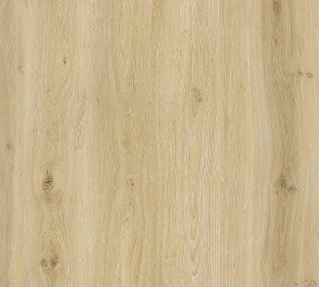 Light Ivory Oak SPC Click LVT Flooring - Pukka Flooring