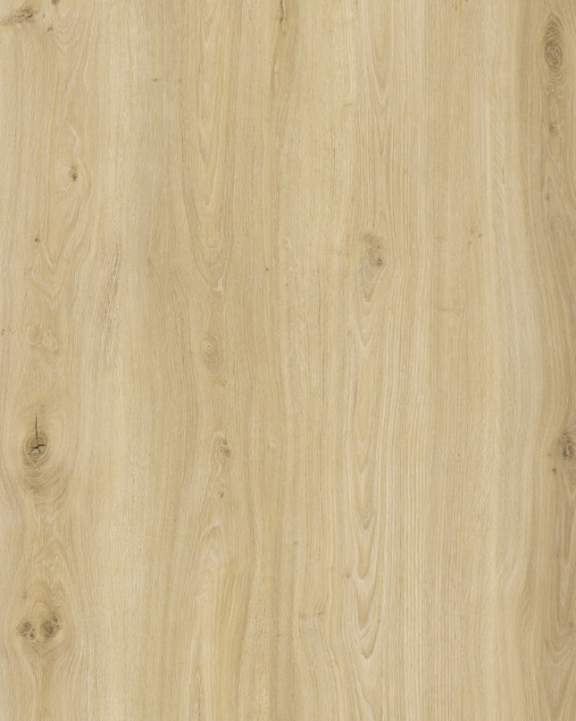 Light Ivory Oak SPC Click LVT Flooring - Pukka Flooring