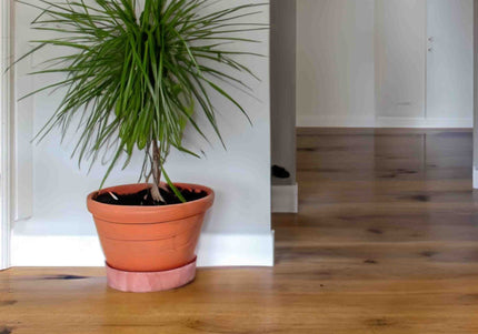 Brushed UV Oiled Oak Engineered Wood Flooring | Pukka Flooring