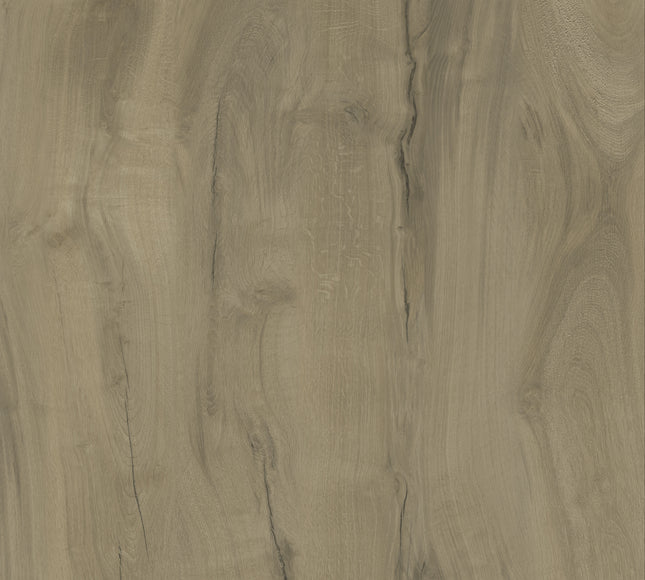 WoodLine – Decor WL50 SPC Click Flooring – High-Performance SPC Click with Wood-Look Design | Pukka Flooring