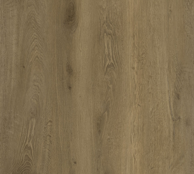 WoodLine – Decor WL53 SPC Click Flooring – High-Performance SPC Click with Super Matt Finish | Pukka Flooring