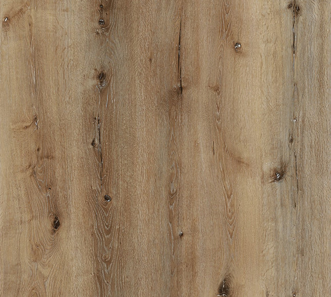 Tawny Oak SPC LVT Flooring | Pukka Flooring 