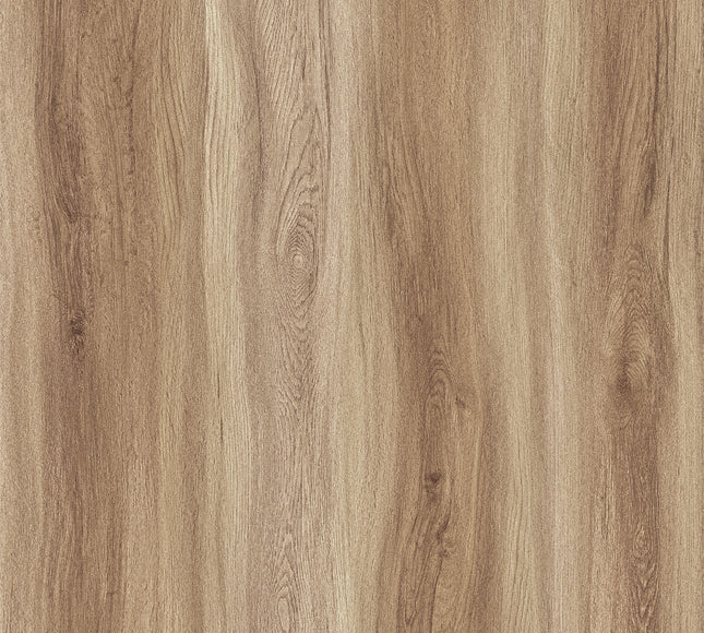 Amber Wheat Oak SPC LVT Flooring | Pukka Flooring 