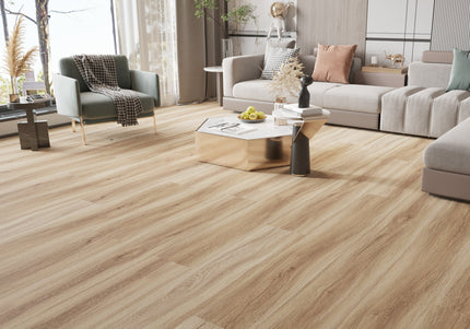 Amber Wheat Oak SPC LVT Flooring | Pukka Flooring 