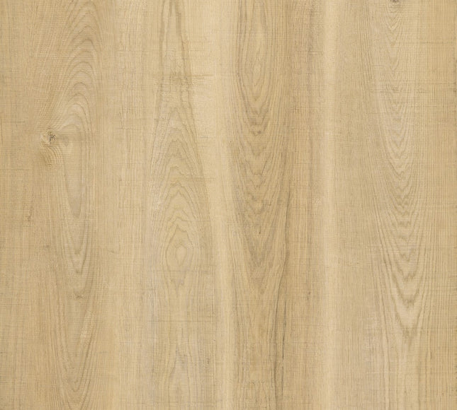 Snowy Hickory SPC LVT Flooring | Pukka Flooring 