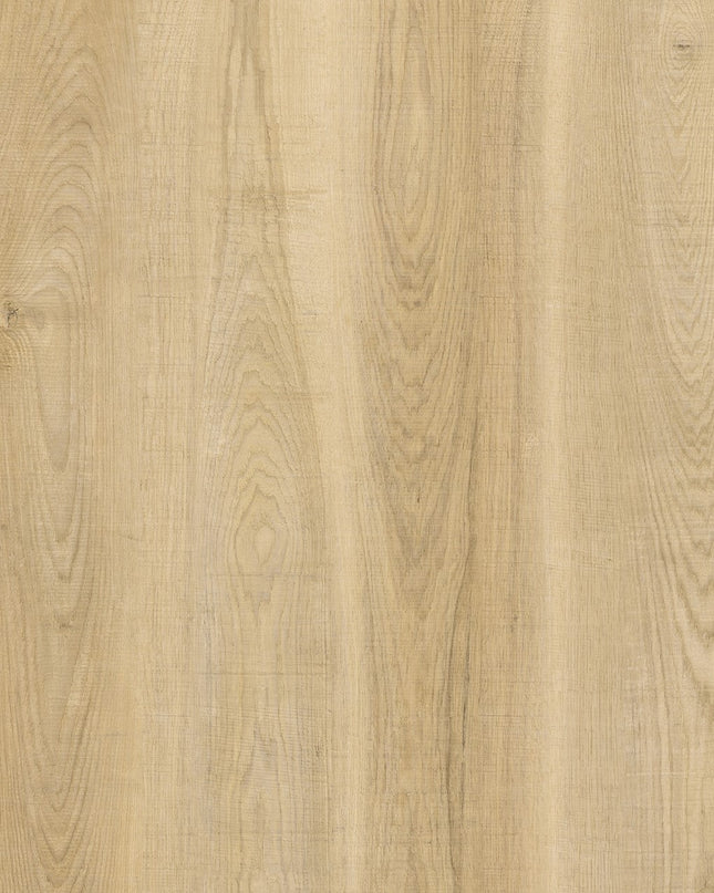Snowy Hickory SPC LVT Flooring | Pukka Flooring 