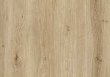 Morning Frost Oak SPC LVT Flooring | Pukka Flooring