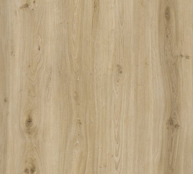 Morning Frost Oak SPC LVT Flooring | Pukka Flooring