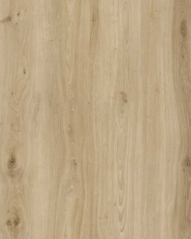 Morning Frost Oak SPC LVT Flooring | Pukka Flooring