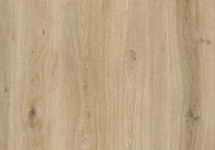 Morning Frost Oak SPC Click LVT Flooring (6.5mm/0.5mmx228x1524 (1mm IXPE), 5Gi click)