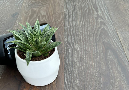 New Bracken Oak 2023 Brushed UV Oiled Multiple Layers Flooring 15/4 190 1860  |Pukka Flooring