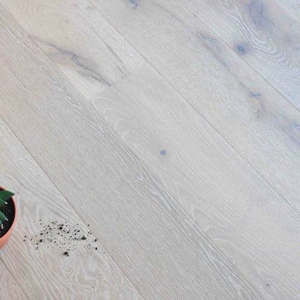 Collection image for: Vivid Line